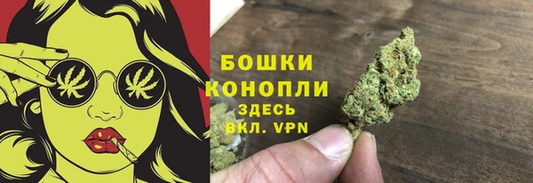 сатива Заволжск