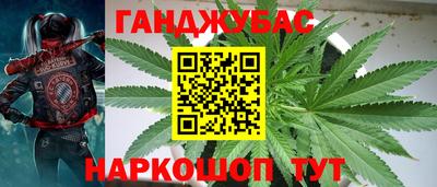 гашик Донецк