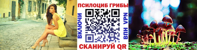 Галлюциногенные грибы мухоморы  кракен вход  Новошахтинск  как найти наркотики 