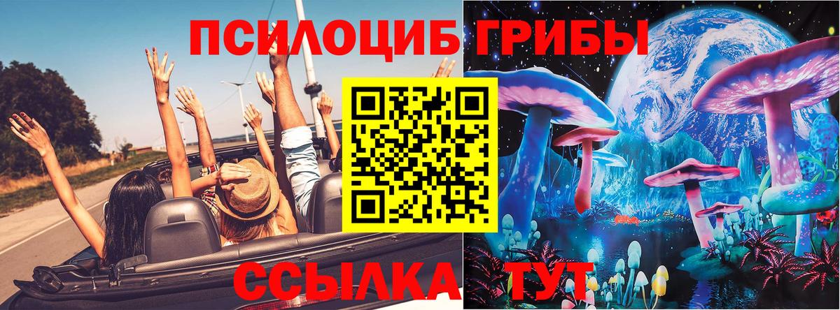 Галлюциногенные грибы Psilocybine cubensis Новошахтинск