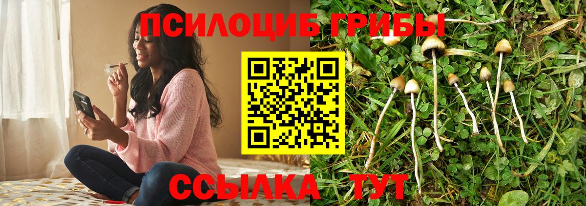 как найти наркотики  Новошахтинск  Галлюциногенные грибы ЛСД 