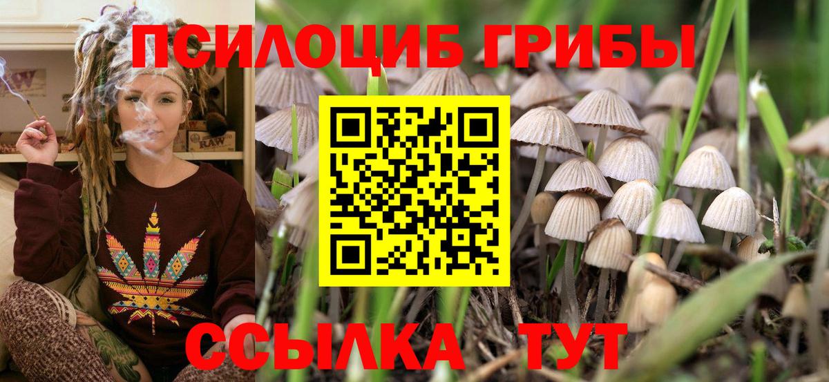 Псилоцибиновые грибы ЛСД Новошахтинск