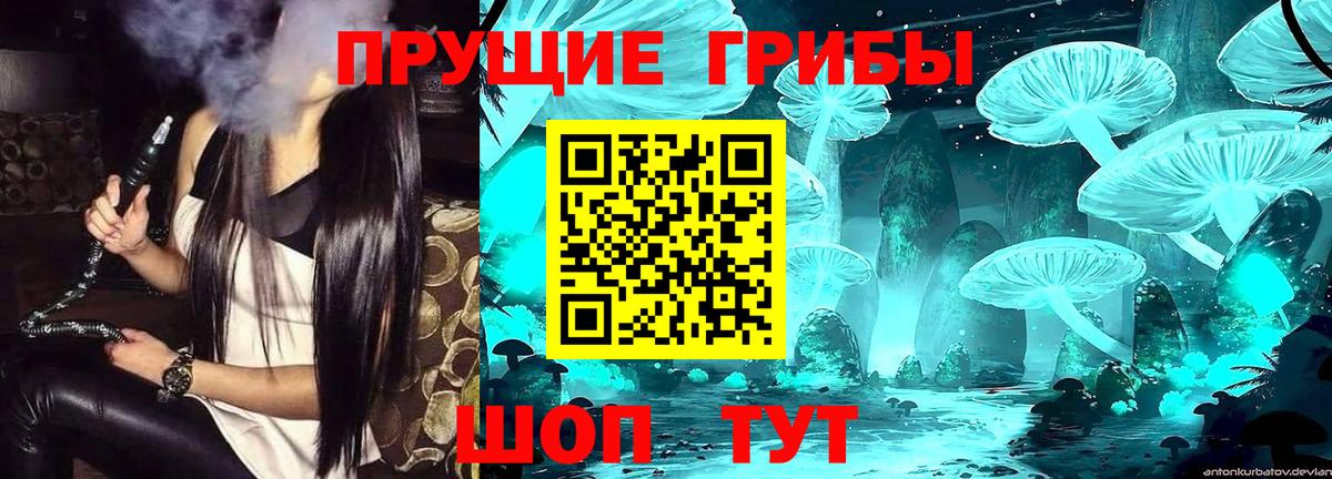 Новошахтинск  Псилоцибиновые грибы мицелий  Вход с VPN  Галлюциногенные грибы прущие грибы 
