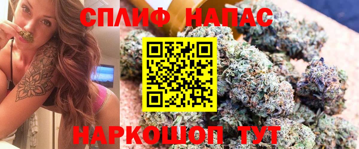 Конопля OG Kush Новошахтинск